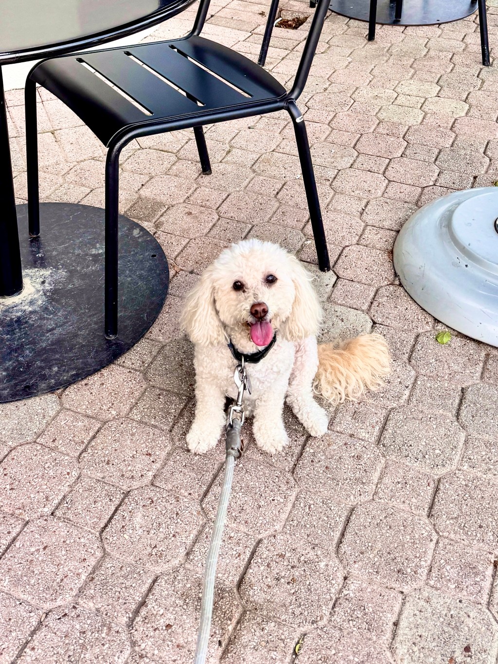 Empire Baking Fresh&nbsp;Daily