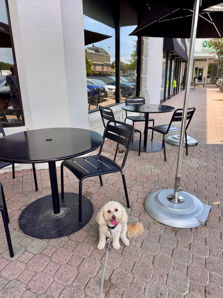 Izzy sits by an outdoor table
