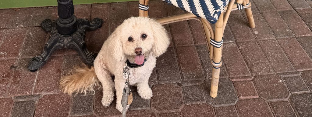 Cool Sip at Flower&nbsp;Child