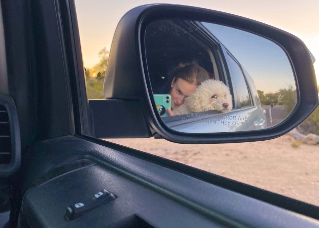 Reflection of Izzy in car side view mirror