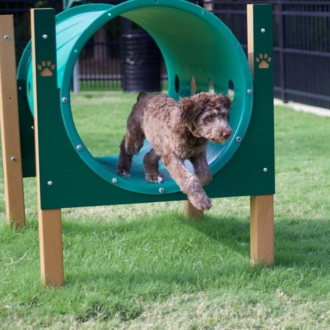 There are two dog parks to entertain your pup