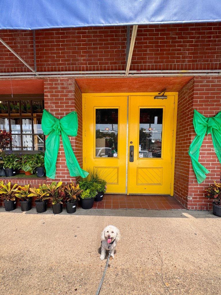 In front of Nicholson-Hardie's Home and Garden location