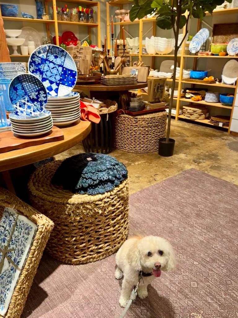 From apparel to housewares, you'll find a wide selection of curated items