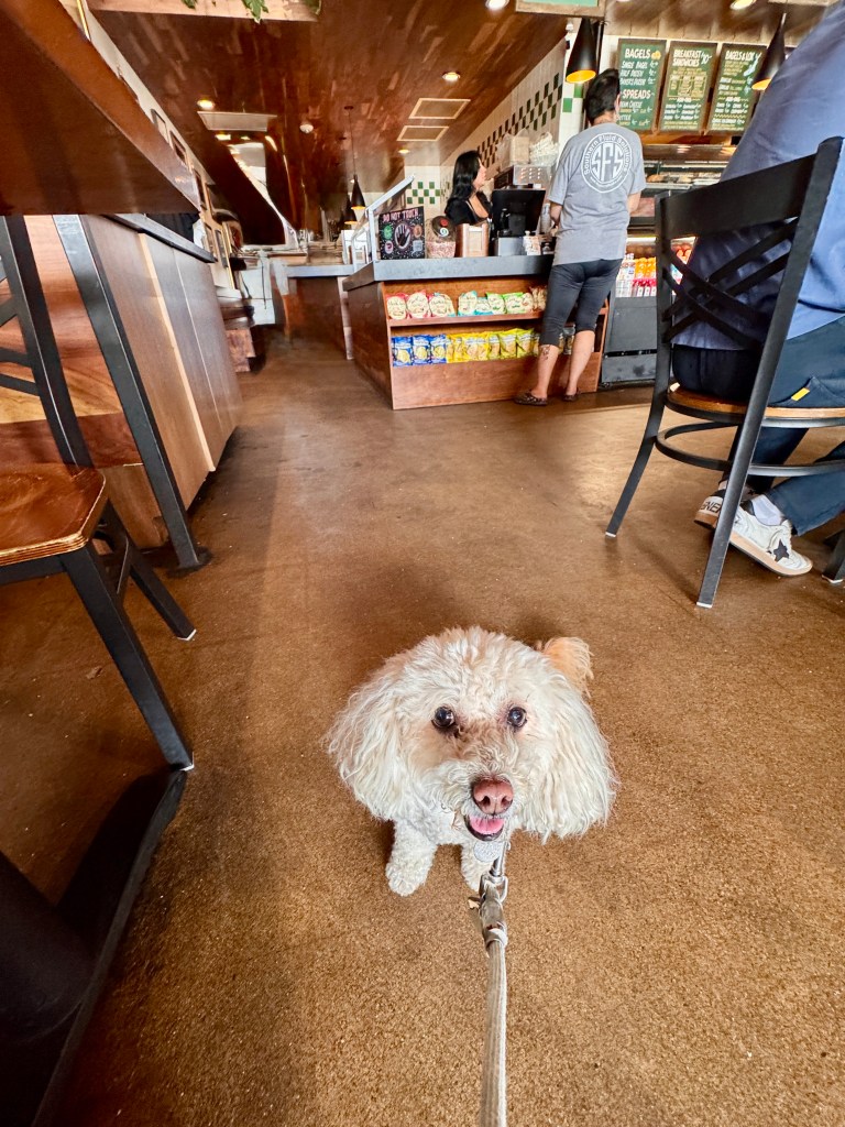 Izzy in Shug's near SMU