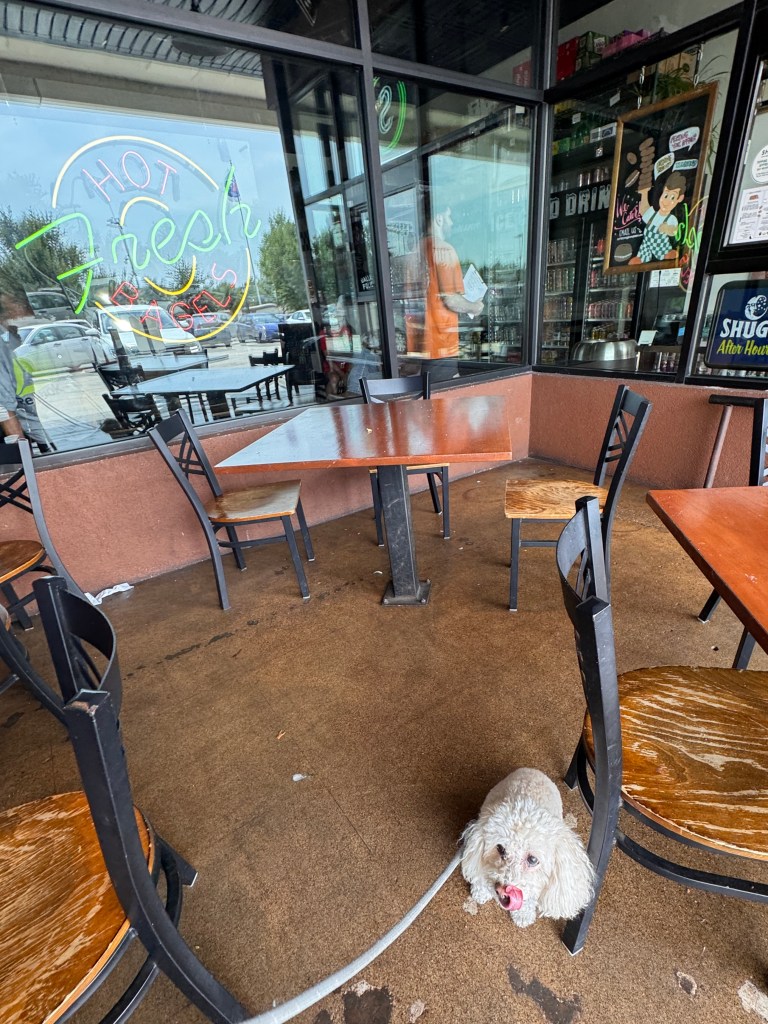 Outdoor seating is available at the Mockingbird location