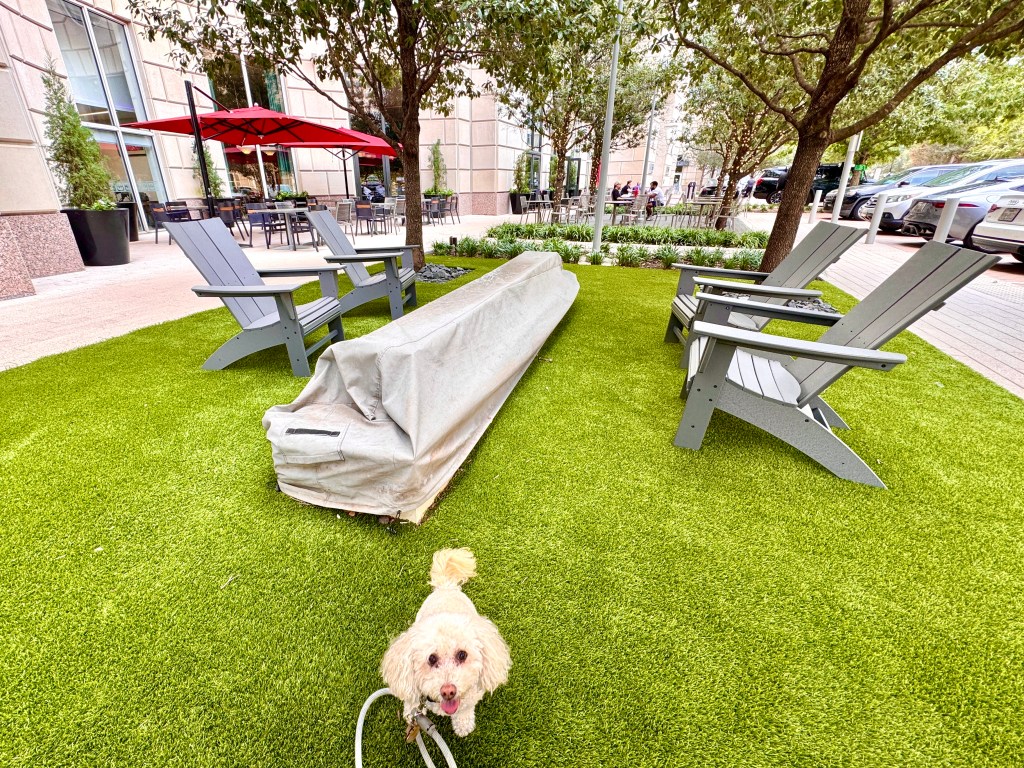 Outside seating is plentiful at The Crescent