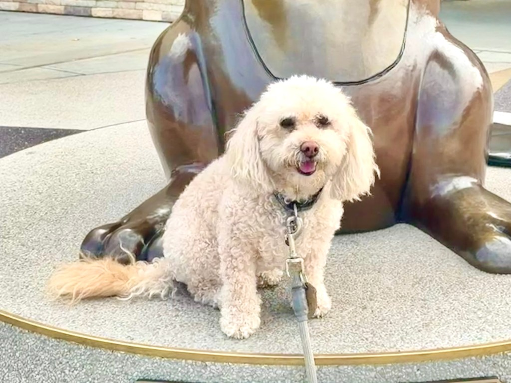 Buc-ee’s Destination Gas&nbsp;Station