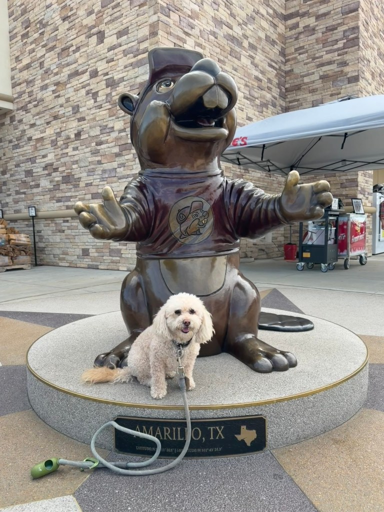 Izzy and Buc-ee