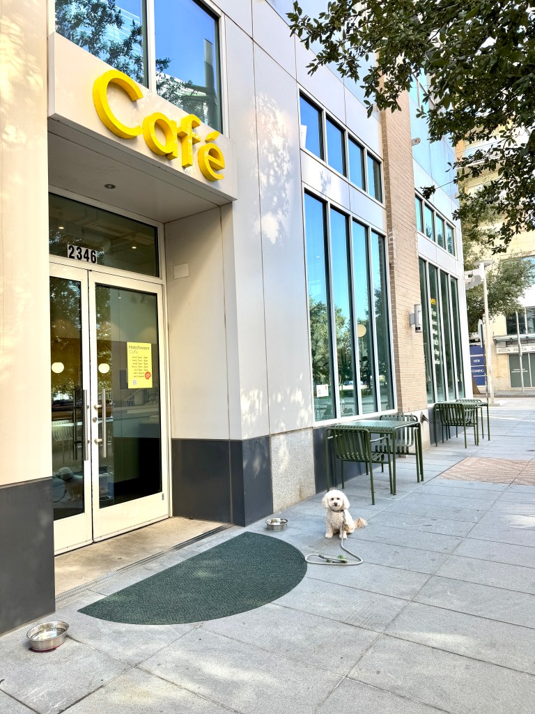 Izzy outside Hatchways Café in Victory Park