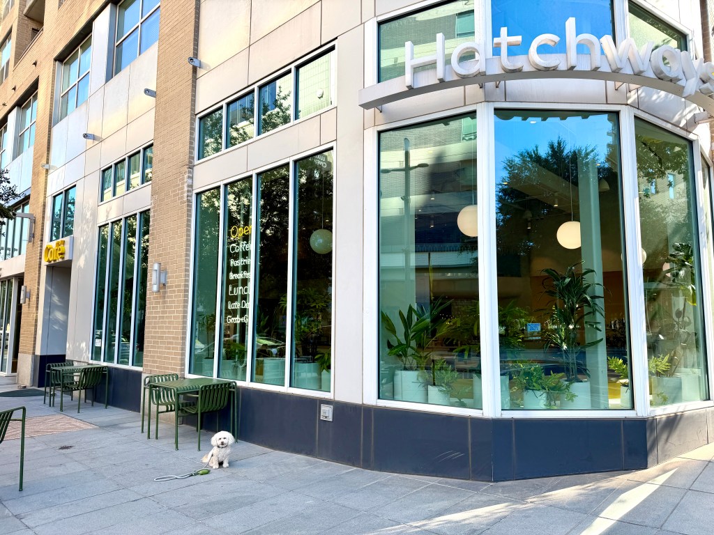 Izzy waits outside Hatchways Café