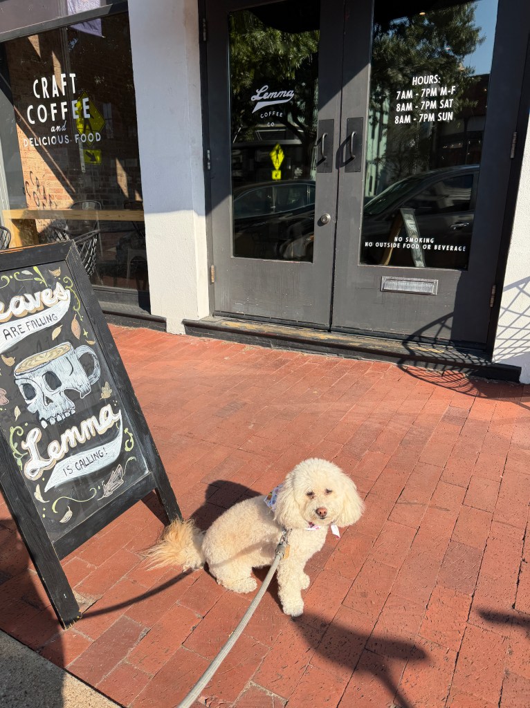 Izzy in front of Lemma's Plano location
