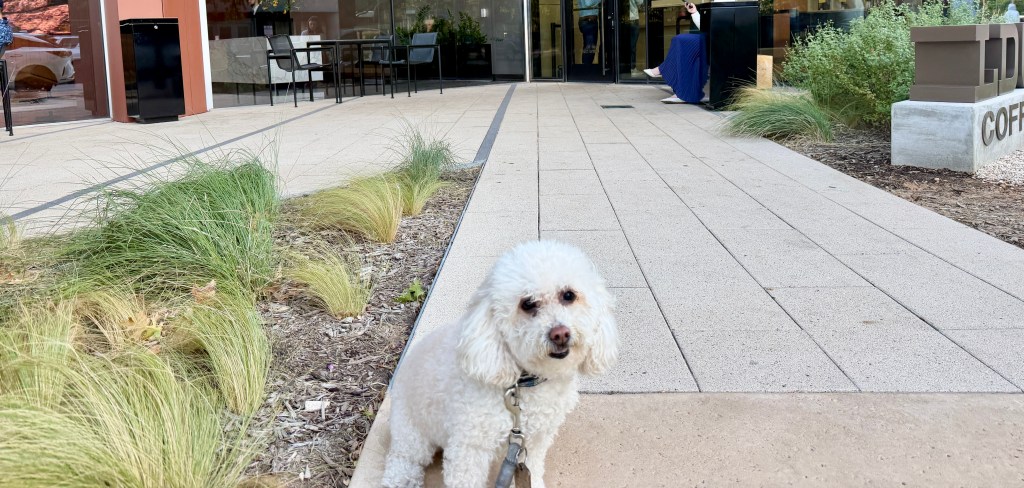 LDU: Simple but&nbsp;delicious